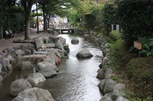 一之江境川親水公園