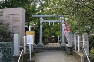 松戸神社の裏門