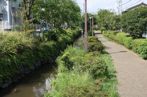 一之江境川親水公園