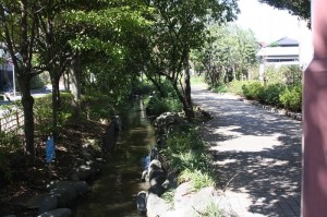 一之江境川親水公園