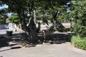 一之江境川親水公園