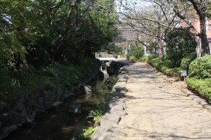 一之江境川親水公園