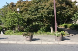 一之江境川親水公園