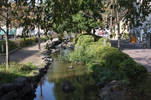 一之江境川親水公園