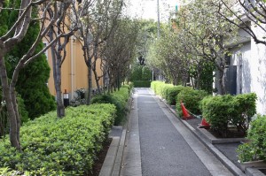 小松川境川親水公園