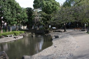 小松川境川親水公園