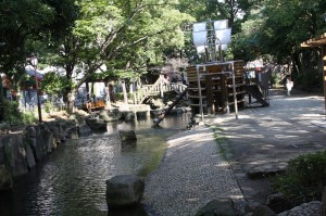 小松川境川親水公園