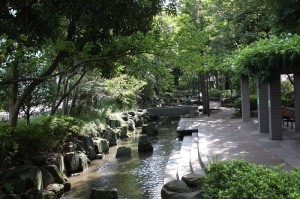 小松川境川親水公園