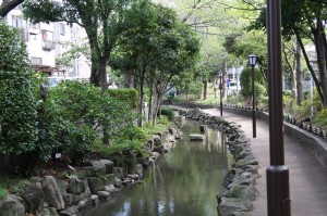 小松川境川親水公園