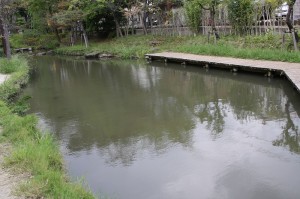 小松川境川親水公園