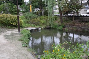 小松川境川親水公園